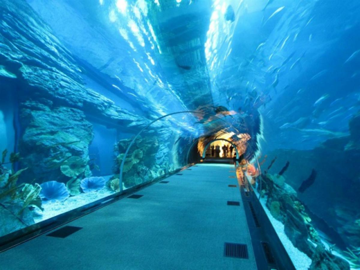Hotel Bologna Ріміні Екстер'єр фото
